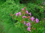 Dsc03770.jpg