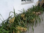 DSC00750.JPG