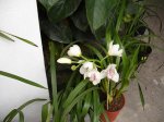 DSC00752.JPG
