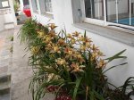 DSC00756.JPG