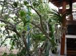 DSC00778.JPG