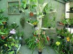 DSC00772.JPG