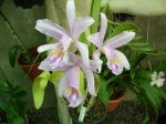 DSC00766.JPG