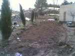 25022007(001).jpg