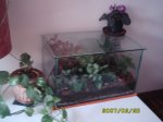IMG_0473red.jpg