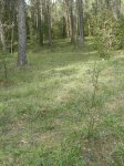 DSCN0845.JPG