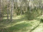DSCN0847.JPG