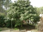 DSCN0867.JPG