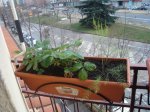 DSC00505_r.jpg
