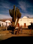 05 Cactus céntrico de Tafí del Vale.JPG