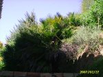 PIC_0053.JPG