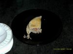 empanada.jpg