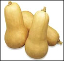 calabacin.jpg