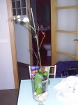 PIC_0149.JPG