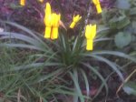 03-03-07_1721.jpg