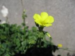 IMG_0593.JPG