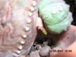 DSCN3344.JPG
