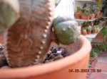 DSCN3345.JPG