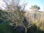HUERTA 12 - 06 073.jpg