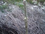 HUERTA 12 - 06 080.jpg