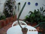 DSCN3346.JPG