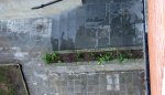DSC02312.JPG
