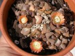 DSCN0169.JPG