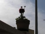 2007-3-37.JPG