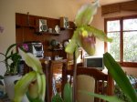 DSCN0876.JPG