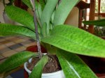 DSCN0878.JPG
