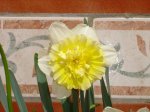 DSC05131 p et.JPG
