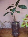 Imagen 029.jpg