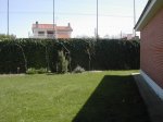 jardin - cesped.JPG