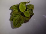 DSC00120.JPG