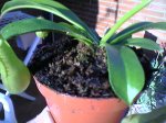Foto-0088.jpg