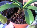 Foto-0089.jpg
