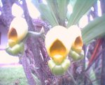 060604_141012.jpg