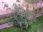 DSCN2439.JPG