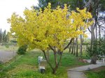 DSC00960.JPG