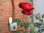 infojardin 019.jpg
