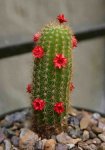 IMG_3592.jpg
