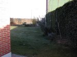 jardin - 4.jpg