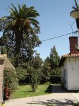 DSC00216.JPG