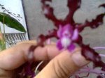 Imagen002.jpg