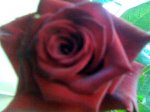 Imagen016.jpg