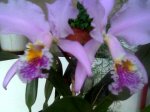 Imagen028.jpg