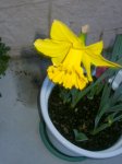 P1010153-1.JPG