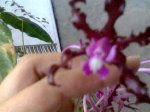 Imagen003.jpg