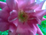 Imagen005.jpg