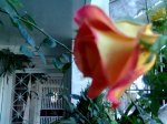 Imagen015.jpg